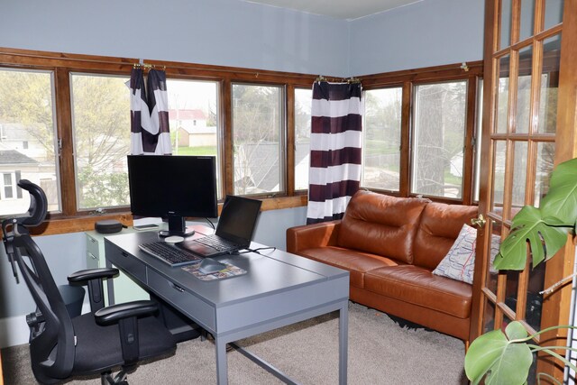 office with carpet
