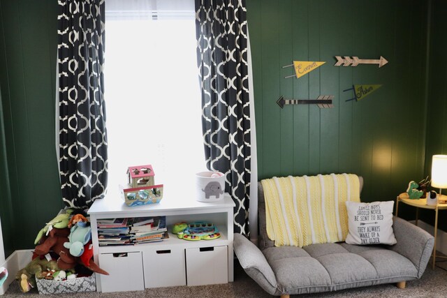 rec room featuring carpet and a healthy amount of sunlight