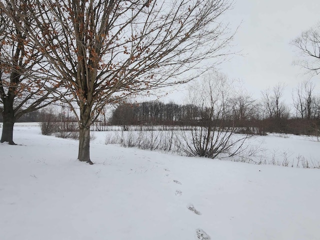 view of yard covered in snow