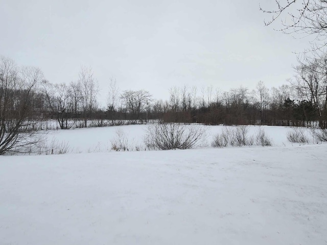 view of yard covered in snow