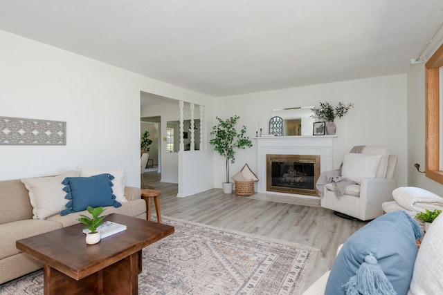 living area featuring light wood-type flooring and a glass covered fireplace