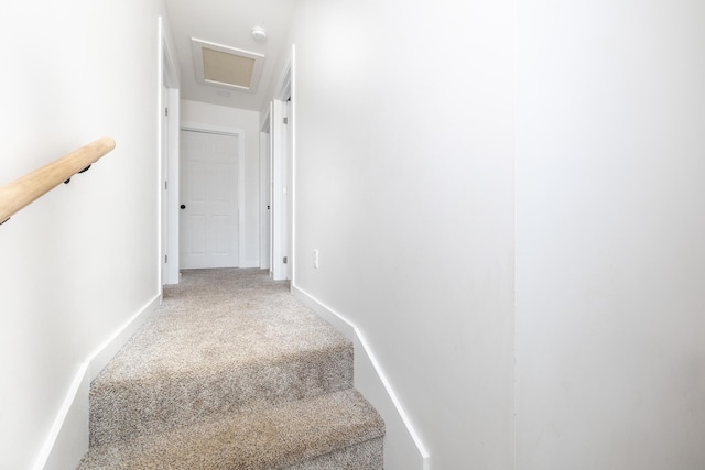 107 S Boggs St, De Graff, OH 43318 - photo 12
