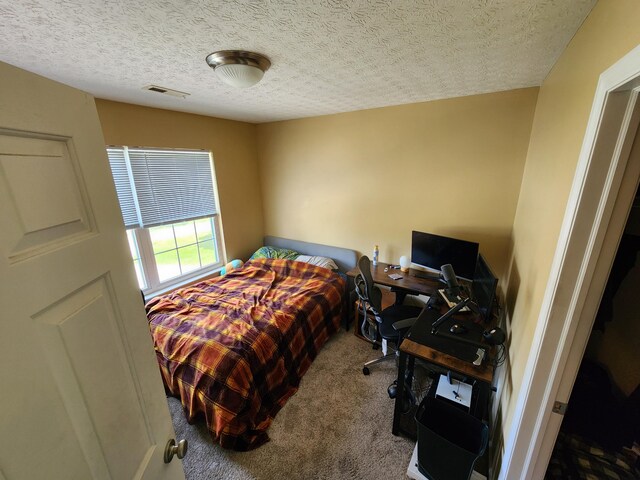 2380 W Patterson Ln, Troy, OH 45373 - bedroom with carpet flooring and a textured ceiling