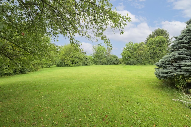 5714 Hickory Dr, West Liberty, OH 43357 - view of grassy yard
