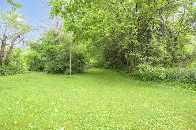 5714 Hickory Dr, West Liberty, OH 43357 - view of grassy yard