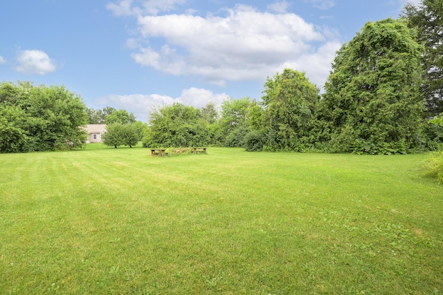 5714 Hickory Dr, West Liberty, OH 43357 - view of green lawn