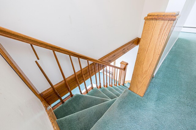 10989 Seminole Shore Dr, Huntsville, OH 43324 - staircase with carpet floors