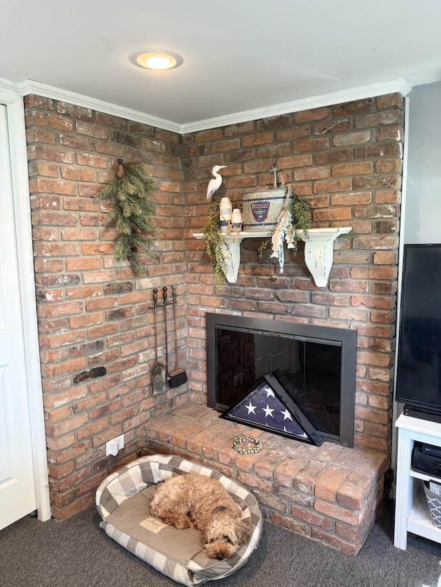 13864 Public Dr, Lakeview, OH 43331 - detailed view of carpet, a fireplace, and ornamental molding