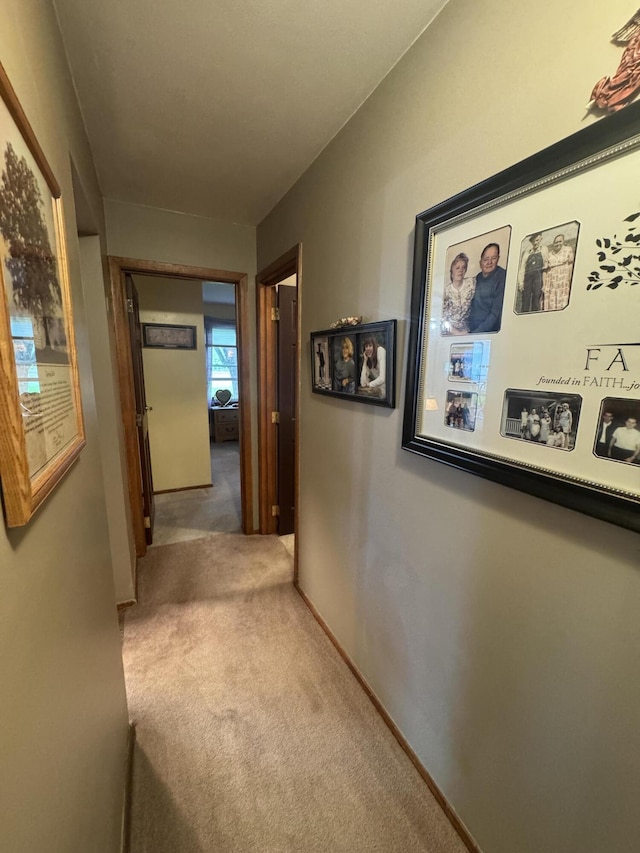 612 S Main St, Saint Marys, OH 45885 - hall with carpet flooring and baseboards