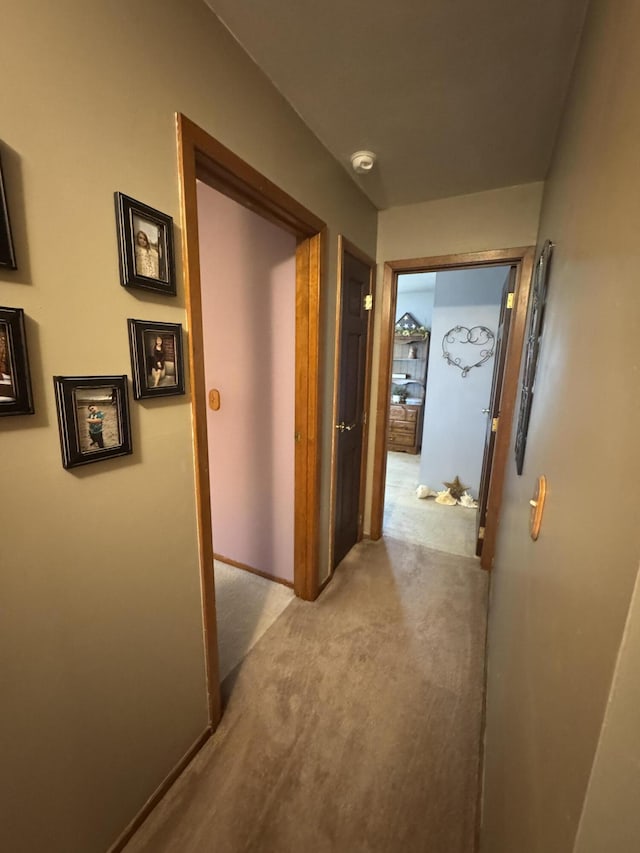 612 S Main St, Saint Marys, OH 45885 - hallway with carpet floors and baseboards