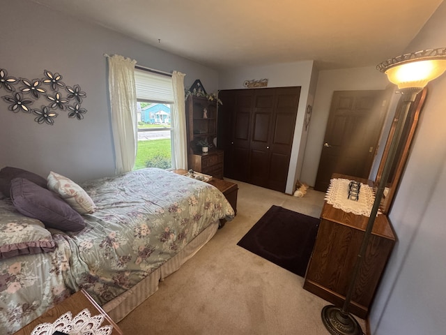 612 S Main St, Saint Marys, OH 45885 - bedroom with light colored carpet and a closet