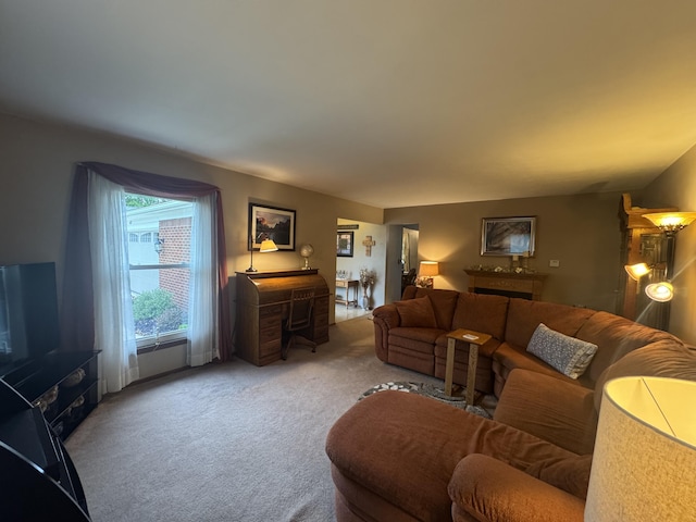 612 S Main St, Saint Marys, OH 45885 - living room with carpet