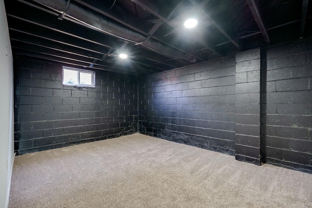 basement with carpet