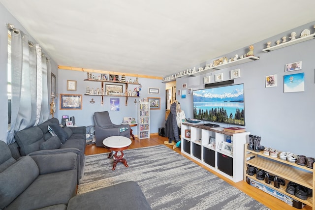 living area featuring wood finished floors