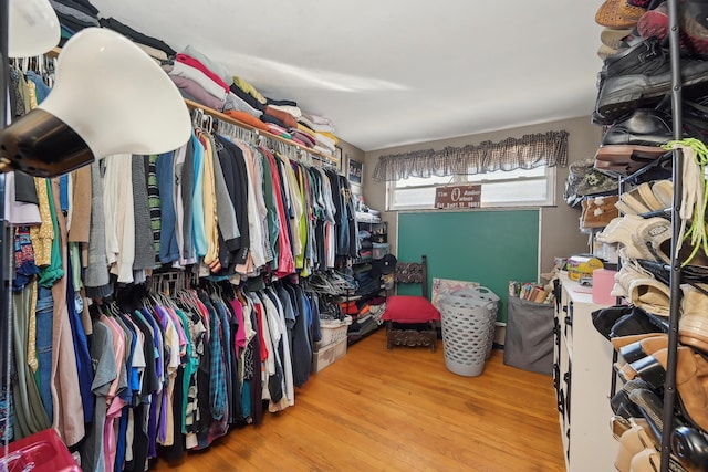 walk in closet featuring wood finished floors