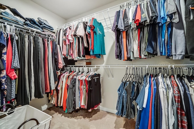 walk in closet with carpet flooring