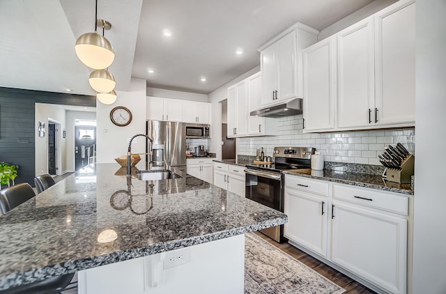 kitchen featuring a sink, tasteful backsplash, under cabinet range hood, and stainless steel appliances