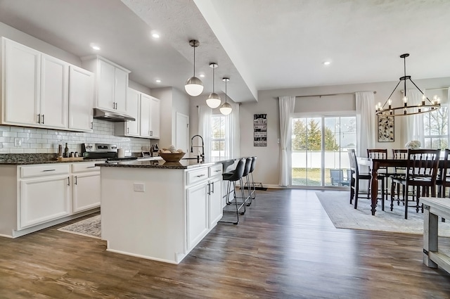 kitchen with tasteful backsplash, under cabinet range hood, stainless steel range with electric stovetop, dark wood-style floors, and a kitchen island with sink