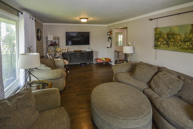 100 Shawnee Rd, Cridersville, OH 45806 - photo 8