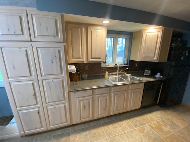 kitchen with backsplash and a sink