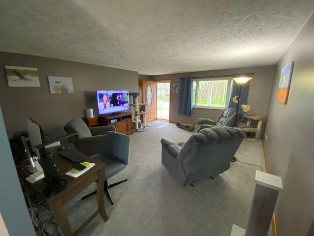 living area featuring a textured ceiling and carpet flooring