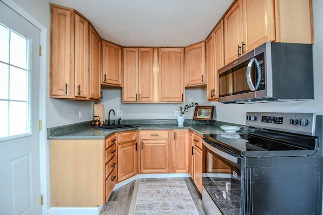 422 New St, Sidney, OH 45365 - kitchen featuring light hardwood / wood-style floors, sink, plenty of natural light, and stainless steel appliances
