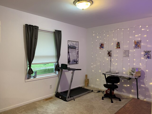 6645 Oak Dr, Celina, OH 45822 - exercise area featuring carpet and baseboards