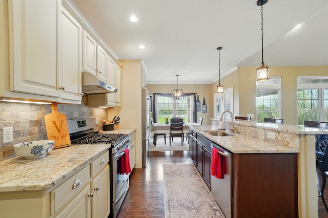 kitchen with backsplash, under cabinet range hood, dark wood-type flooring, appliances with stainless steel finishes, and a sink