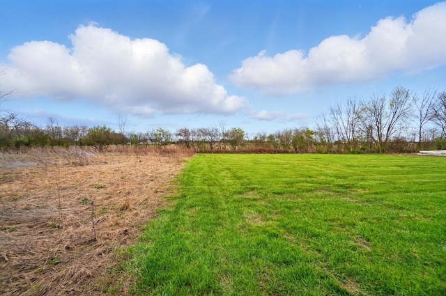 view of yard with a rural view