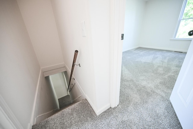 8095 N Lena-Palestine Rd, Conover, OH 45317 - staircase with carpet and baseboards