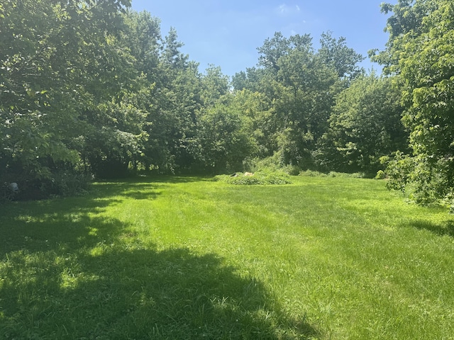 5570 Wynn Rd, Springfield, OH 45502 - photo 9