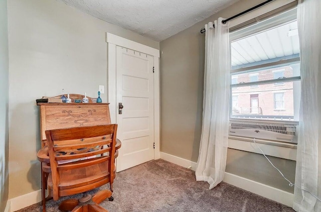 sitting room with a textured ceiling and carpet