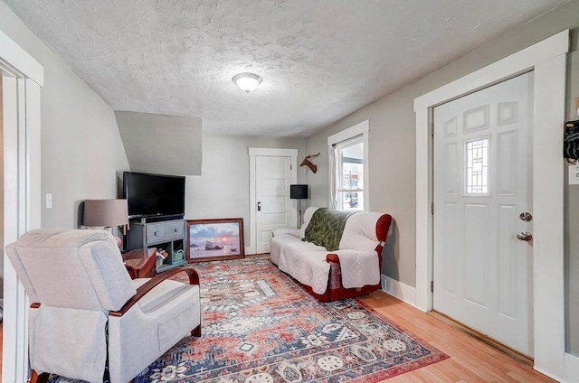 living room featuring wood-type flooring and a textured ceiling