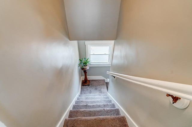 stairway with carpet