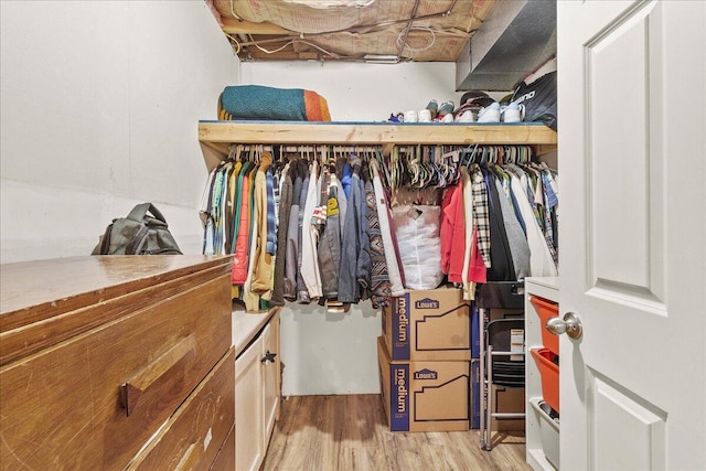 spacious closet featuring light wood-type flooring