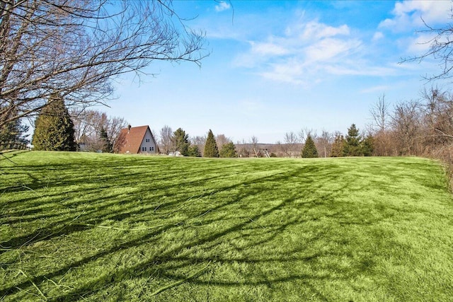 view of yard with a rural view