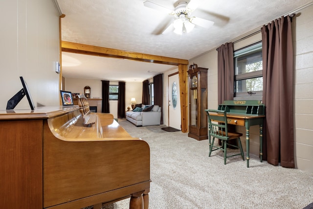 interior space featuring carpet floors and ceiling fan