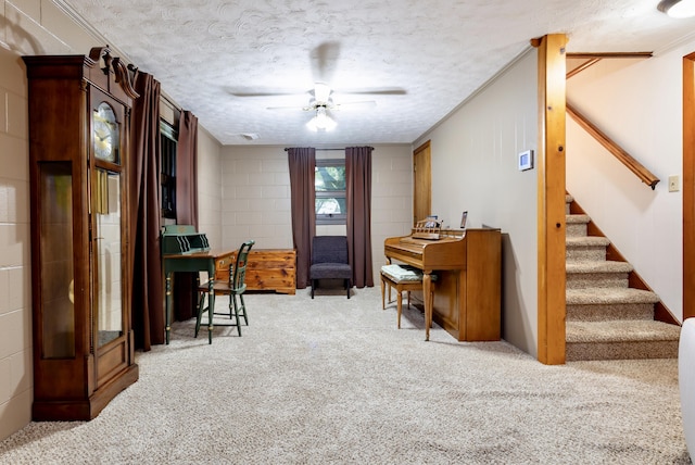 carpeted home office with crown molding, ceiling fan, and a textured ceiling
