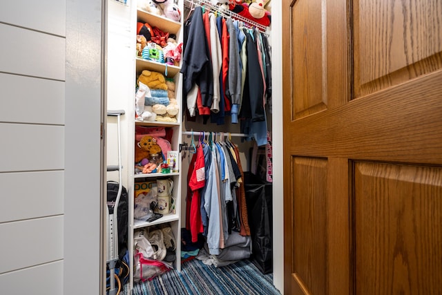 view of closet
