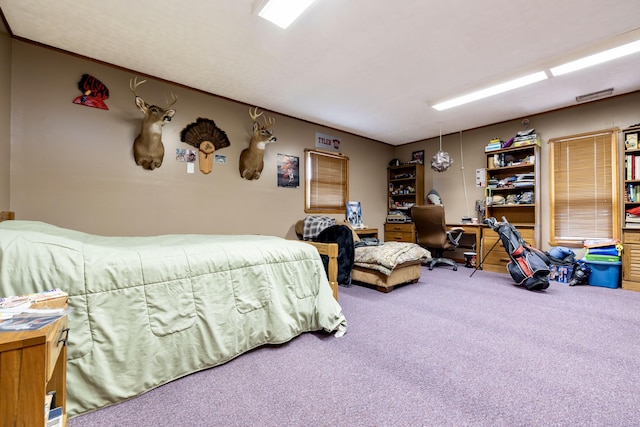 bedroom featuring carpet