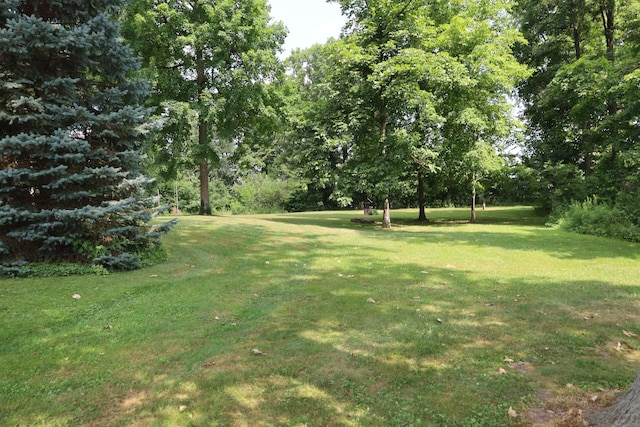 4543 Lange Rd, Saint Henry, OH 45883 - photo 23