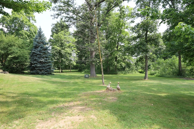 4543 Lange Rd, Saint Henry, OH 45883 - photo 21