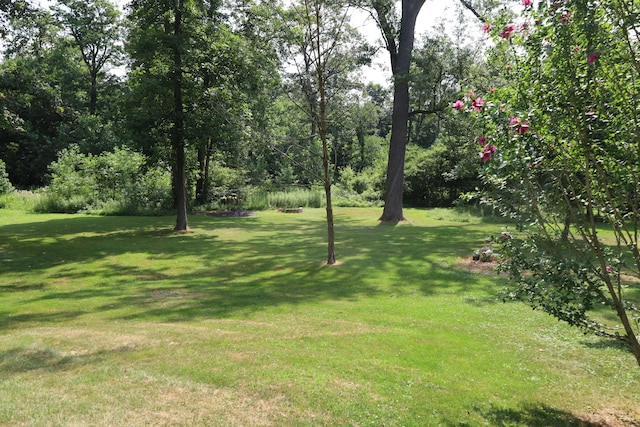 4543 Lange Rd, Saint Henry, OH 45883 - photo 18