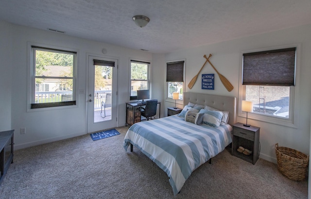 carpeted bedroom with a textured ceiling, baseboards, and access to exterior