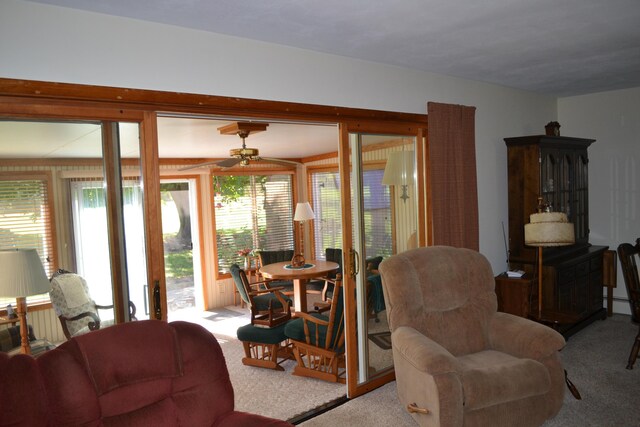 living area with carpet