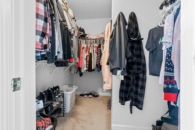 spacious closet featuring carpet flooring