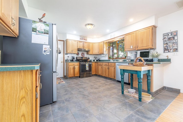 8339 Hite Rd, West Liberty, OH 43357 - kitchen featuring appliances with stainless steel finishes, under cabinet range hood, a sink, dark countertops, and recessed lighting