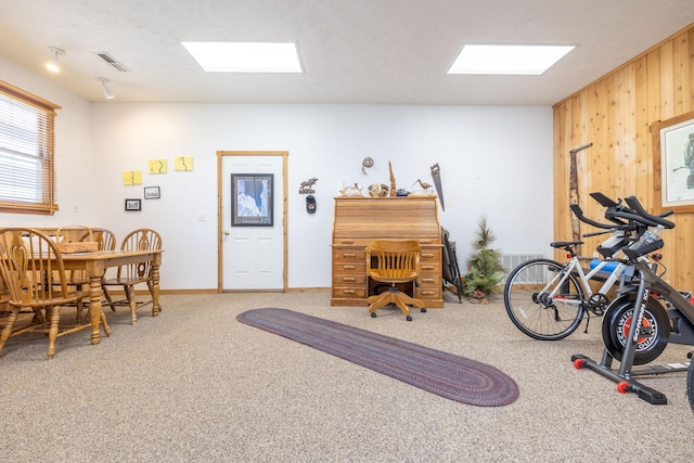 8339 Hite Rd, West Liberty, OH 43357 - office space with a skylight, wooden walls, carpet, and baseboards