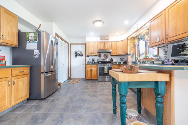 8339 Hite Rd, West Liberty, OH 43357 - kitchen with appliances with stainless steel finishes, under cabinet range hood, and a sink