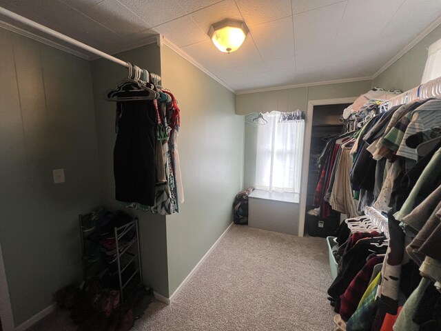 16527 Kettlersville Rd, Kettlersville, OH 45336 - photo 41